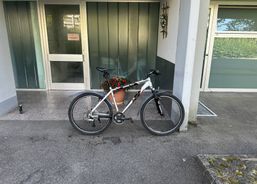 Arrow top Zustand | Mountainbikes | CC Bikes / Hardtails | velomarkt.ch