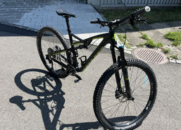 Bixs Lane 230 | Mountainbikes | 29er - 29 Zoll Bikes | velomarkt.ch