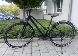 DIAMANT Citybike Damen | Citybikes / Tourbike | Citybikes | velomarkt.ch