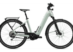Flyer G1 UPSTREET 7.10 | Citybikes / Tourbike | Citybikes | velomarkt.ch