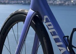 Specialized Tarmac SL8 Expert / Purple | Rennvelos | Edel - Rennvelos | velomarkt.ch