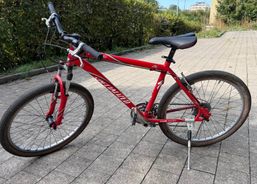 Specialized Mountainbike | Mountainbikes | Einsteiger MTB | velomarkt.ch