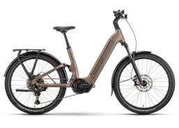 Raymon Tavano Base M taupegrey | eBikes / Elektrovelos | eBikes bis 25 km/h | velomarkt.ch