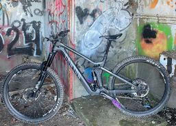 Canyon Strive Underdog M Carbon | Mountainbikes | Downhill Bikes | velomarkt.ch