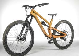 Canyon Torque 29 CF7 NEU | Mountainbikes | Freeride / All Mountain | velomarkt.ch