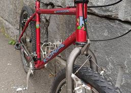 Kona HAHANNA | Mountainbikes | CC Bikes / Hardtails | velomarkt.ch