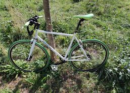 Totem Singlespeed 28" – 1 Gang mit Freilauf | Bici da città / Bici da turismo | Occasione | velomarkt.ch