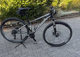 SPECIALIZED CRAVE COMP 29 | Mountainbikes | 29er - 29 Zoll Bikes | velomarkt.ch