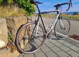 Simplon Carbon Rennvelo, Grösse XL, federleichte 6.7 kg | Rennvelos | Rennvelos bis CHF 2000 | velomarkt.ch