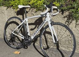 Cannondale Synapse Carbon Ultegra 2015 – Rahmengrösse 51 | Vélos de course | Vélos de course pour femmes | velomarkt.ch