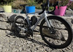 Wilier Triestina Filante SL – Top Zustand | Rennvelos | Edel - Rennvelos | velomarkt.ch