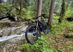 IBIS Ripmo Carbon V3 2025 | Mountainbikes | Freeride / All Mountain | velomarkt.ch