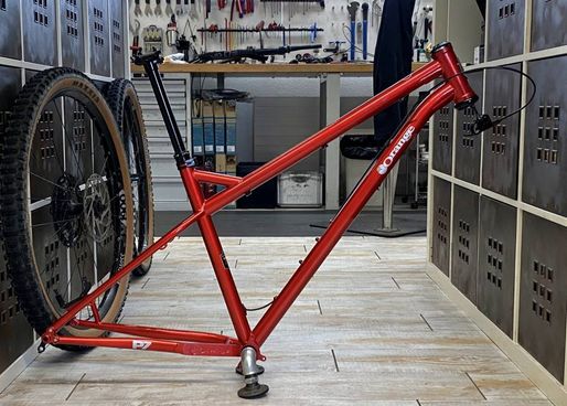 Canyon Sender CFR Downhill Rahmen kaufen in Zürich - Velomarkt