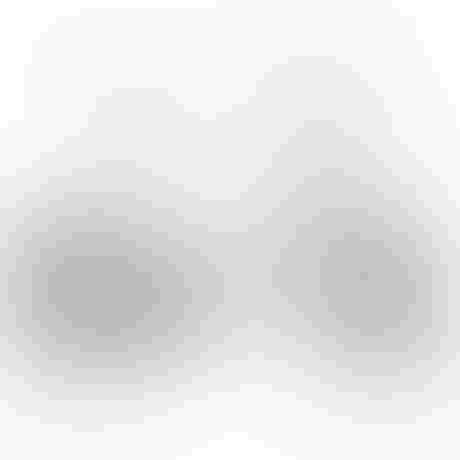 Bergamont Paul-E EQ Expert kaufen in Switzerland #1 | velomarkt.de