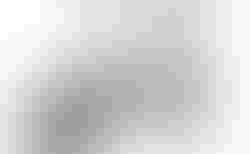 Tern Verge X11 | Tern Verge X11 | velomarkt.at