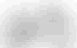 Cube Access WS C:62 SLX team ws | Cube Access WS C:62 SLX team ws | velomarkt.at