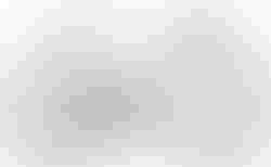 Cube Cross Race C:68X TE teamline | Cube Cross Race C:68X TE teamline | velomarkt.at