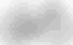 Cube Agree C:62 ONE | Cube Agree C:62 ONE | velomarkt.at
