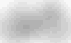 Cube Agree C:62 Pro | Cube Agree C:62 Pro | velomarkt.at