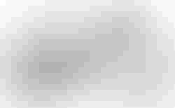 BMC UnReStricted three | BMC UnReStricted three | velomarkt.at