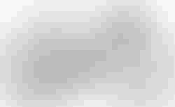 Cube Nuroad C:62 ONE | Cube Nuroad C:62 ONE | velomarkt.at