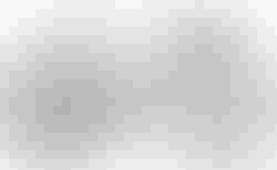 Cube Nuroad Rookie Pro | Cube Nuroad Rookie Pro | velomarkt.at