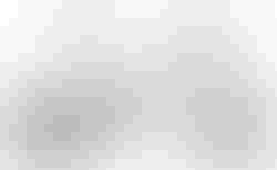 Tern Verge X11 | Tern Verge X11 | velomarkt.de