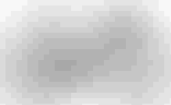 Cube Agree C:62 Pro | Cube Agree C:62 Pro | velomarkt.de