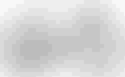Cube Nuroad C:62 EX | Cube Nuroad C:62 EX | velomarkt.de