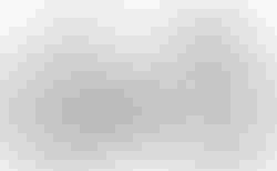 Cube Agree C:62 SLT | Cube Agree C:62 SLT | velomarkt.de
