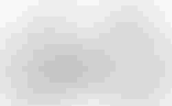 Cube Cross Race C:68X TE teamline | Cube Cross Race C:68X TE teamline | velomarkt.de