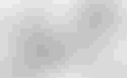 BMC UnReStricted 01 three | BMC UnReStricted 01 three | velomarkt.de