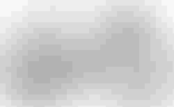 Cube Nuroad C:62 EX | Cube Nuroad C:62 EX | velomarkt.de