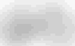 Cube Nulane C:62 SLT | Cube Nulane C:62 SLT | velomarkt.de