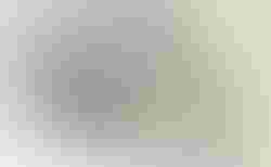 Cube Nulane C:62 SLT | Cube Nulane C:62 SLT | velomarkt.de