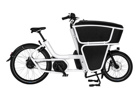 Urban Arrow Shorty