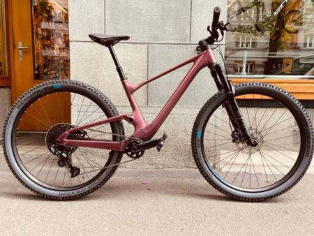 Damen Mountainbikes bei velomarkt.de kaufen