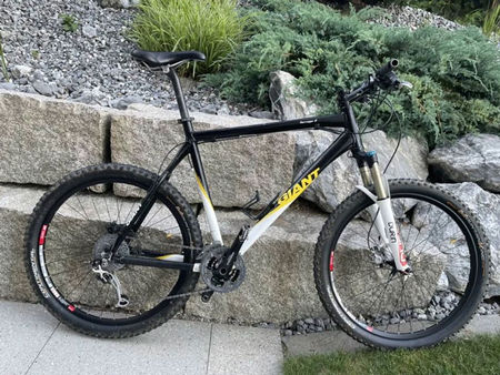 Mountainbike-Typen