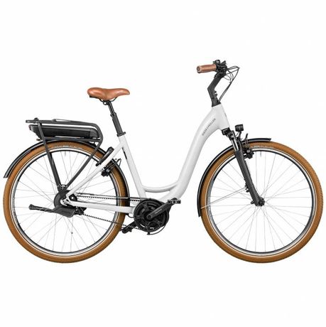 Riese &amp; Müller Swing automatic kaufen in Svizzera #1 | velomarkt.de