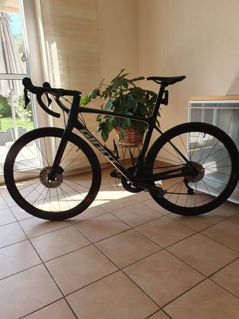 Giant TCR Advanced Pro Team Gr. M kaufen in Bayern #1 | velomarkt.de