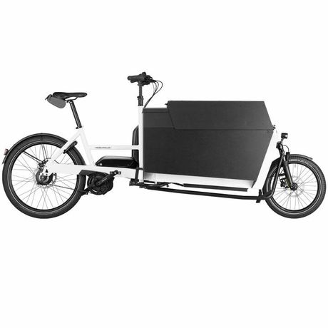 Riese &amp; Müller Transporter 2 85 vario kaufen in Schweiz #1 | velomarkt.de