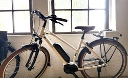 Riese Müller Pedelec Cruiser 2 Mixte E bike - NEU | Rm | velomarkt.de