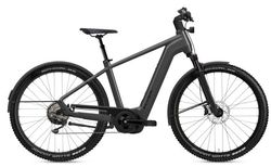 Flyer Gotour 7.10 SE kaufen in Schweiz #1 | velomarkt.at