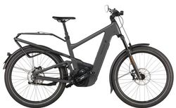 Riese & Müller Delite 5 GT pinion HS | Riese & Müller Delite 5 GT pinion HS | velomarkt.at