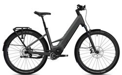 Flyer Goroc TR 7.33 kaufen in Schweiz #1 | velomarkt.at