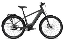 Flyer Goroc TR 7.33 | Flyer Goroc TR 7.33 | velomarkt.at