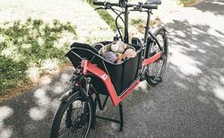 Riese & Müller Packster 40 vario | Riese & Müller Packster 40 vario | velomarkt.at