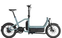 Riese & Müller Carrie vario | Riese & Müller Carrie vario | velomarkt.at