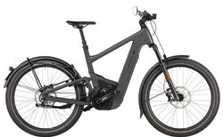 Riese & Müller Delite 5 GT pinion HS | Riese & Müller Delite 5 GT pinion HS | velomarkt.at