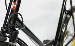 Cosmos Special-Edition gelb kaufen in Schweiz #3 | velomarkt.de